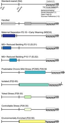 Environmental Programming of Susceptibility and Resilience to Stress in Adulthood in Male Mice